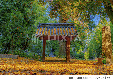 Kyoto Yamazaki Shoten Kanonji Temple Stock Photo 72328166 PIXTA