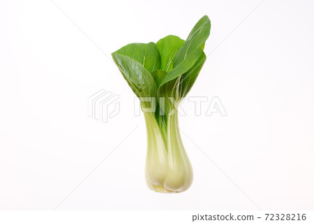 白菜 白菜 72328216