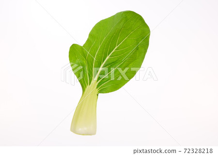 白菜 白菜 72328218