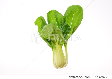 白菜 72328220