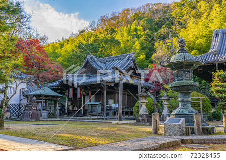 京都山崎清鐵觀音寺 72328455
