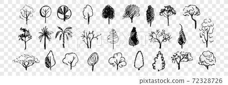 Hand drawn trees doodle set collection Hand drawn trees doodle set collection 72328726