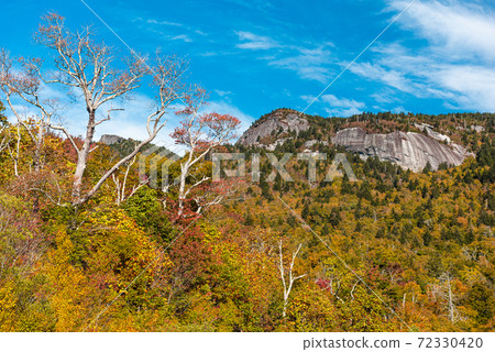 Grandfather Mountain, North Carolina, USA. Grandfather Mountain, North Carolina, USA. 72330420