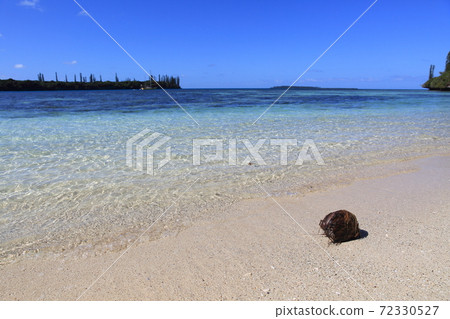 Blue sky, blue sea, white sand beach and palm fruit Blue sky, blue sea, white sand beach and palm fruit 72330527