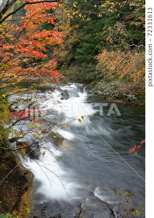 Yakushimen Stream Yakushimen Stream 72331613