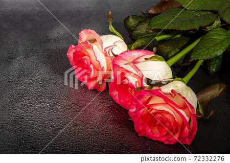 A bouquet of roses for the holiday. Women's day, Valentine's Day, name day. On a dark background with reflection. Copy space 72332276