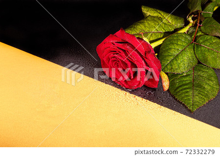A bouquet of roses for the holiday. Women's day, Valentine's Day, name day. On a dark background with reflection. Copy space 72332279