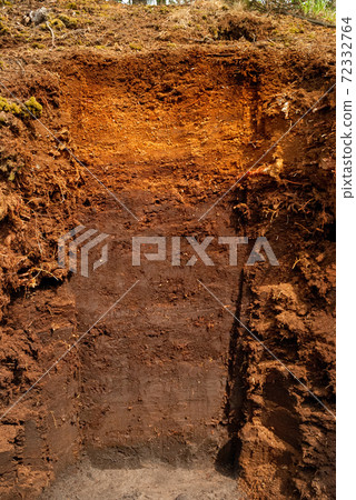 Soil profile of a raised bog Soil profile of a raised bog 72332764