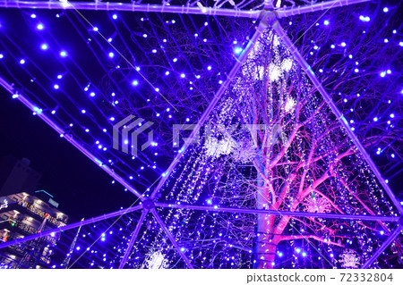 鹿兒島市天文館百萬象徵樹 72332804