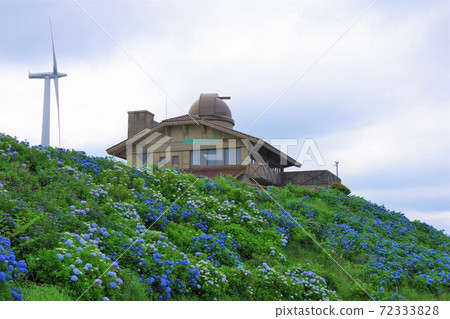 德島縣Sanagawachi村大河原高原的山頂房屋和繡球花 德島縣Sanagawachi村大河原高原的山頂房屋和繡球花 72333828