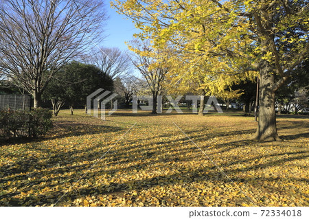 Tokyo Metropolitan Nakagawa Park (B district, Freedom Square) Nakagawa, Adachi-ku, Tokyo 72334018