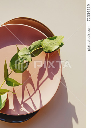 Minimalist ceramic plates and eucalyptus plant 72334319