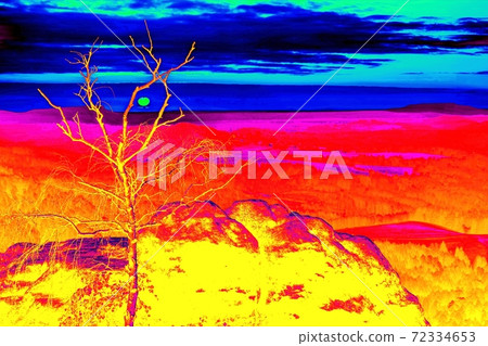 Tree without leaves with blurry horizon in colorful background. 72334653