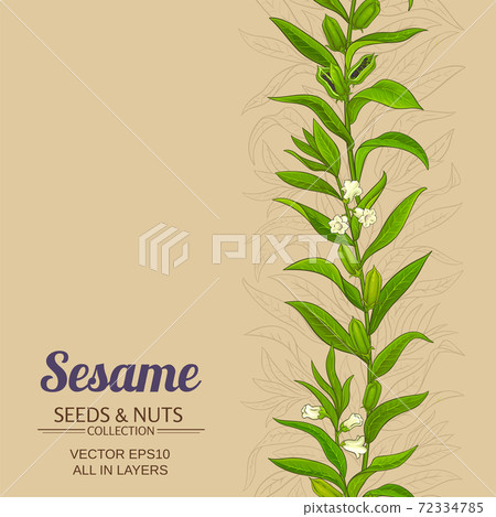 sesame vector pattern 72334785