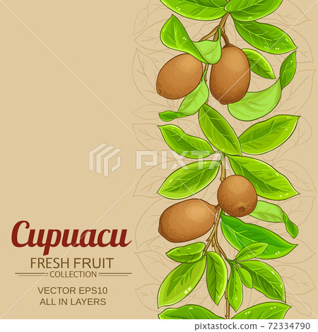 cupuacu vector background cupuacu vector background 72334790