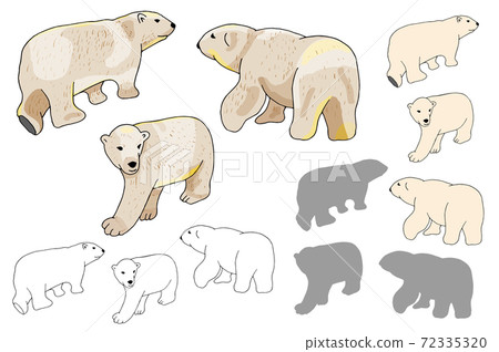Vector white polar bears set isolate on white background. Bear Silhouettes on white background. Vector white polar bears set isolate on white background. Bear Silhouettes on white background. 72335320
