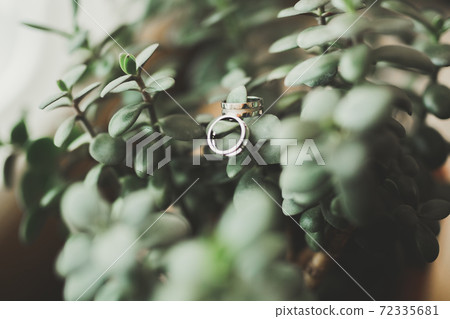 Two golden wedding rings isolated background concept Two golden wedding rings isolated background concept 72335681