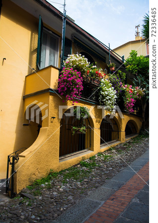 Portofino, Liguria, Italy 72336485