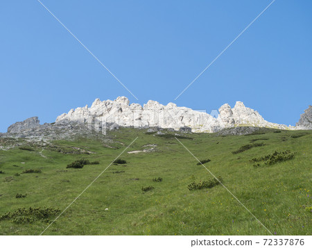 view on white shining limestone moutain peaks and rock with green grass and clear blue sky. Alpine landscape of Stubai Tirol Alps, Austria. 72337876