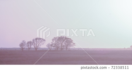 Pampas sunset landscape, La pampa, Argentina 72338511