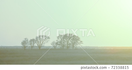 Pampas sunset landscape, La pampa, Argentina Pampas sunset landscape, La pampa, Argentina 72338815