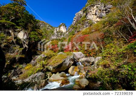 山梨，升泉峽，學園峰的秋葉 72339039