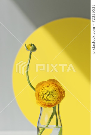 Minimalist still life in trendy illuminating color 72339533