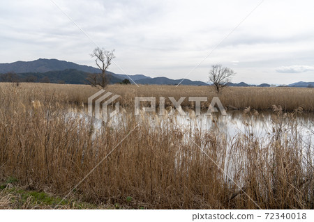 Lake west in winter Lake west in winter 72340018