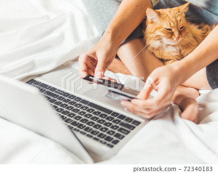 Cute ginger cat and woman in bed with laptop. Woman is making online order and paying with credit cards. Online shopping. Morning bedtime with fluffy pet. Cute ginger cat and woman in bed with laptop. Woman is making online order and paying with credit cards. Online shopping. Morning bedtime with fluffy pet. 72340183