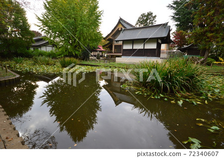Autumn at Hachioji Suwa Shrine 72340607