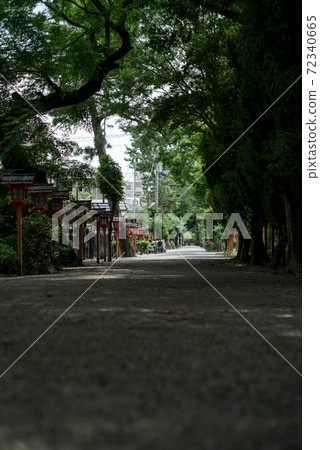 The approach to Hattori Sumiyoshi Shrine in Toyonaka City, Osaka Prefecture The approach to Hattori Sumiyoshi Shrine in Toyonaka City, Osaka Prefecture 72340665