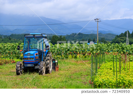 田間拖拉機夏季農業圖像沒有人 田間拖拉機夏季農業圖像沒有人 72340950