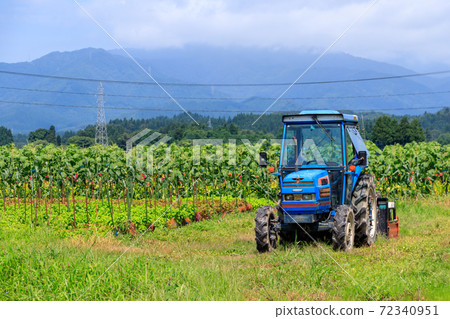 Field tractor summer agricultural image no person 72340951