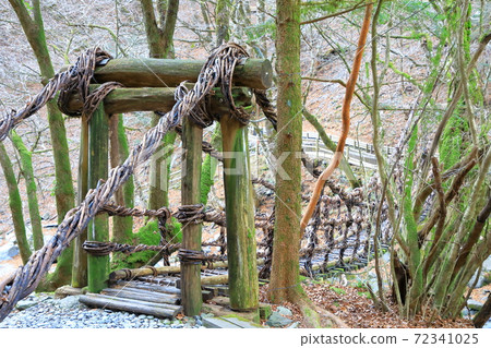 Kazura Bridge at Iya (National Important Tangible Folk Cultural Property) Miyoshi City, Tokushima Prefecture 72341025
