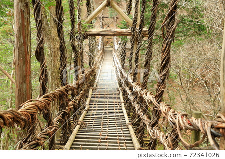 Kazura Bridge at Iya (National Important Tangible Folk Cultural Property) Miyoshi City, Tokushima Prefecture 72341026