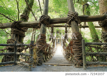 Kazura Bridge at Iya (National Important Tangible Folk Cultural Property) Miyoshi City, Tokushima Prefecture Kazura Bridge at Iya (National Important Tangible Folk Cultural Property) Miyoshi City, Tokushima Prefecture 72341037