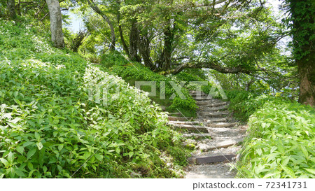 Mountain path of Kenzan Mountain path of Kenzan 72341731