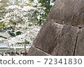 石垣和櫻桃樹 石垣和櫻桃樹 72341830