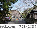 武士住宅街上的櫻花 武士住宅街上的櫻花 72341835