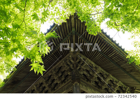 修善寺溫泉區新鮮的綠色 修善寺溫泉區新鮮的綠色 72342540