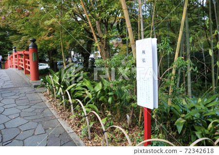 Date at Shuzenji Kaedebashi, a tourist spot in Izu City, Shizuoka Prefecture Date at Shuzenji Kaedebashi, a tourist spot in Izu City, Shizuoka Prefecture 72342618