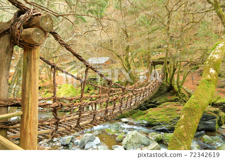 Unexplored area Okuiya Double Kazura Meotobashi (Onnabashi) Miyoshi City, Tokushima Prefecture 72342619