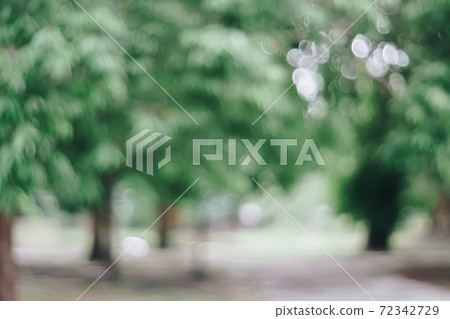 Blur nature bokeh green park by beach and tropical coconut trees. 72342729