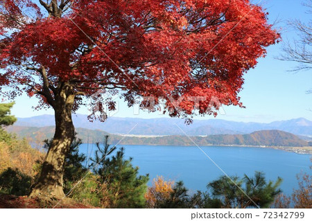 奧美琵琶湖公園大道的秋葉 72342799