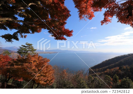 奧美琵琶湖公園大道的秋葉 奧美琵琶湖公園大道的秋葉 72342812