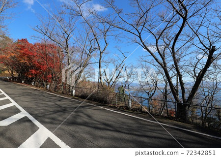 奧美琵琶湖公園大道的秋葉 奧美琵琶湖公園大道的秋葉 72342851