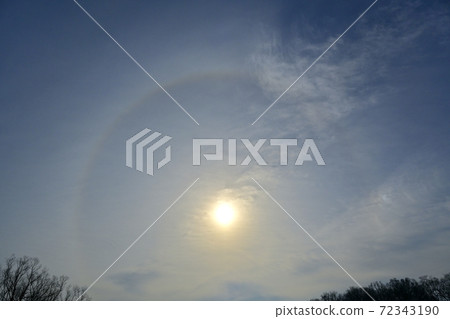 Halo and forest in the sun 72343190