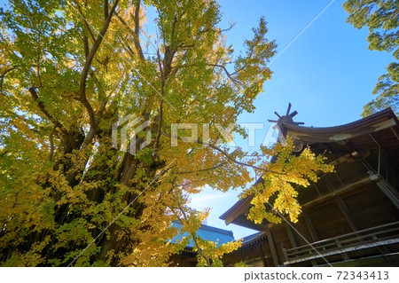 千葉縣千本光州的秋葉葛飾八man宮 千葉縣千本光州的秋葉葛飾八man宮 72343413
