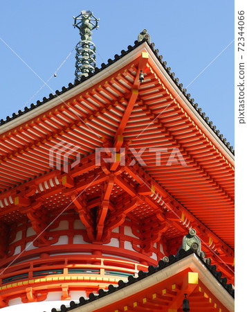 Konpon Daito looking up 72344066