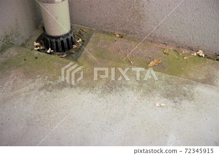 Moss stains on the balcony Corner corner Moss stains on the balcony Corner corner 72345915